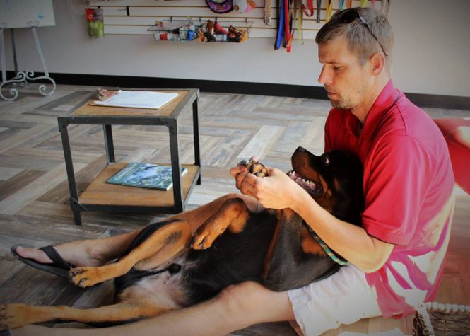 Tommy Stark working one-on-one with a dog