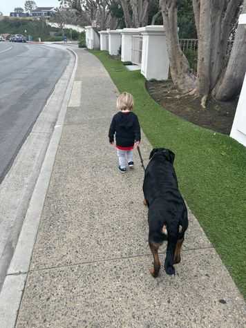 In-home leash training